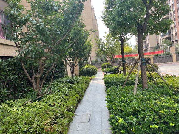 苏州吴江汾湖光樾华庭光樾华庭 三室两厅一卫 民用水电 拎包入住出租