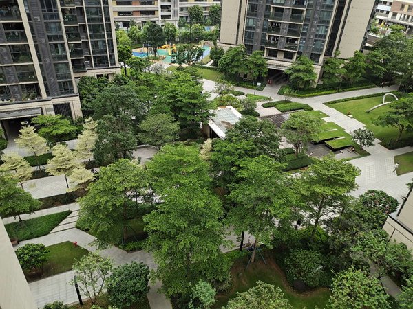 广州荔湾广钢新城保利碧桂园公园大道海郡花园 飞机户型 精装配齐拎包