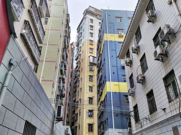 深圳龙岗横岗六约新村六约北 温馨复式一房 周边环境好 押一付一 无