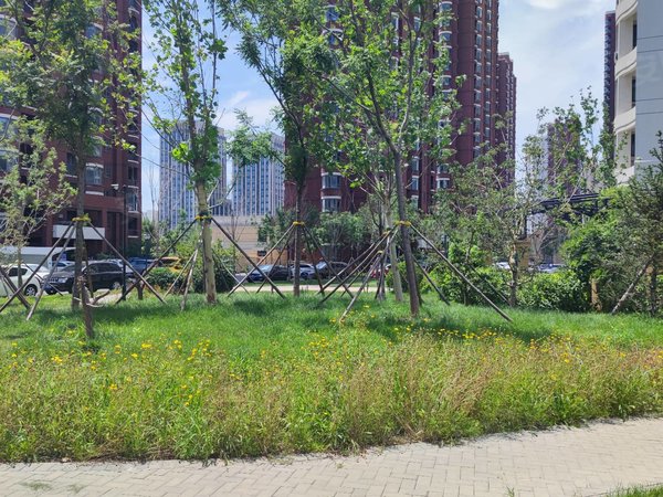 天津河西梅江津铁泽苑津铁泽苑 河边楼栋 南北通透两居室 实拍图随时