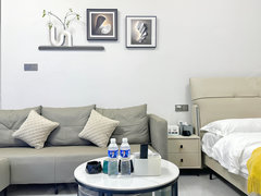 南阳新野其他上亿广场 1室1厅1卫 55平 精装修 电梯房出租房源真实图片