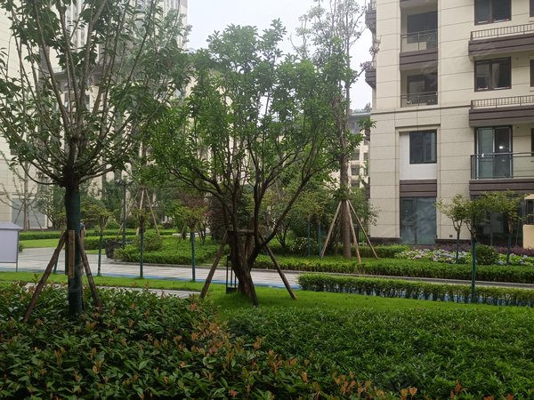 重庆渝北空港中国摩林莺花园中国摩林莺花园 1室精装修 南北通透 电梯