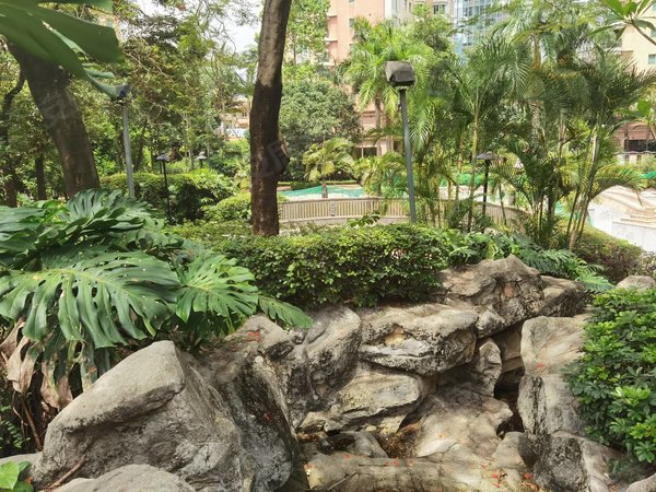 中海实用小高层4房 南北通透有固定车位,福田租房-深圳58安居客