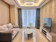 苏州工业园湖西苏州中心9号，朝南90平客卧分离一室，采光视野很好，刚刚新上出租房源真实图片