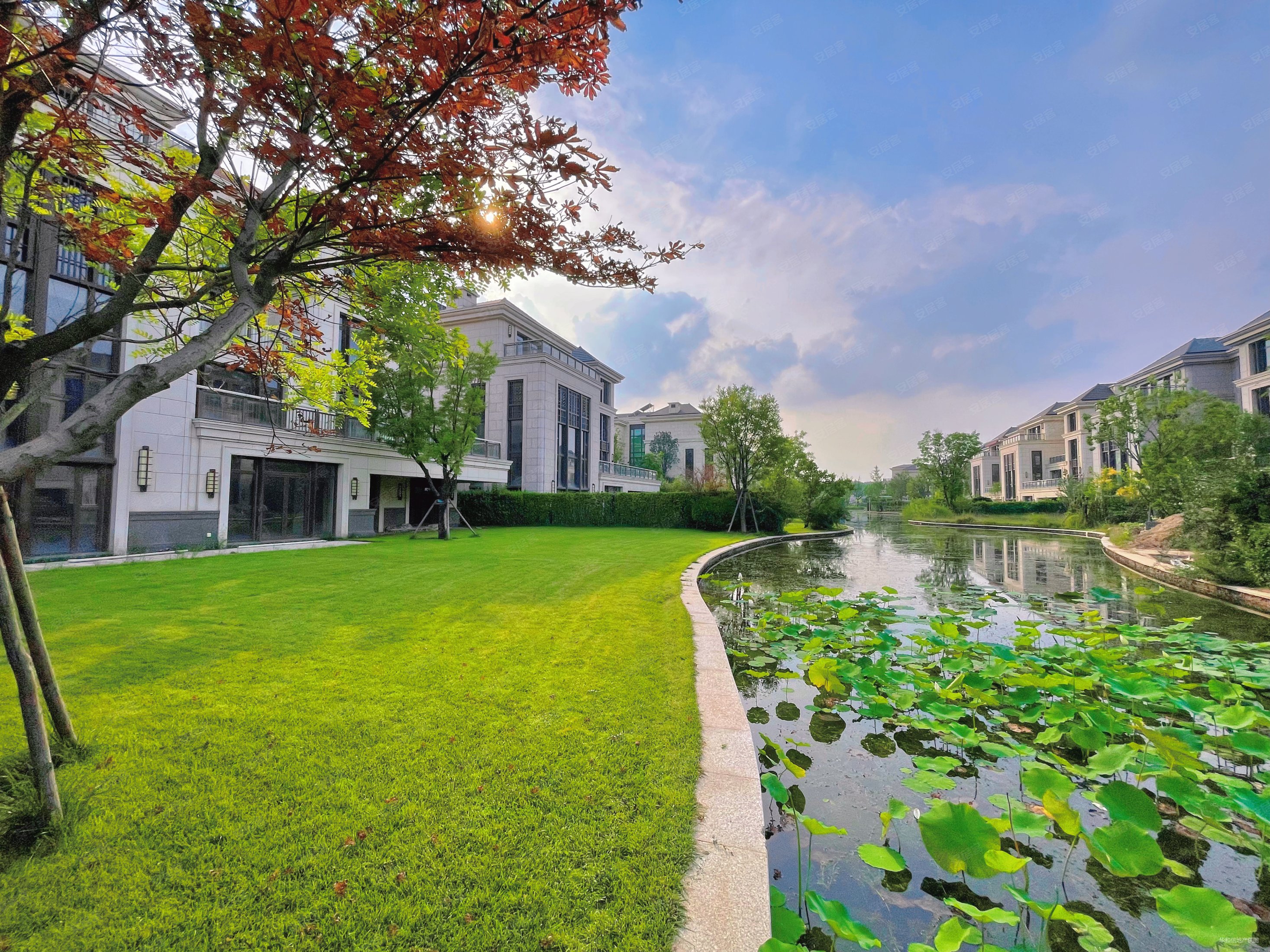 丽宫临湖独栋别墅位置好景观开阔1500平