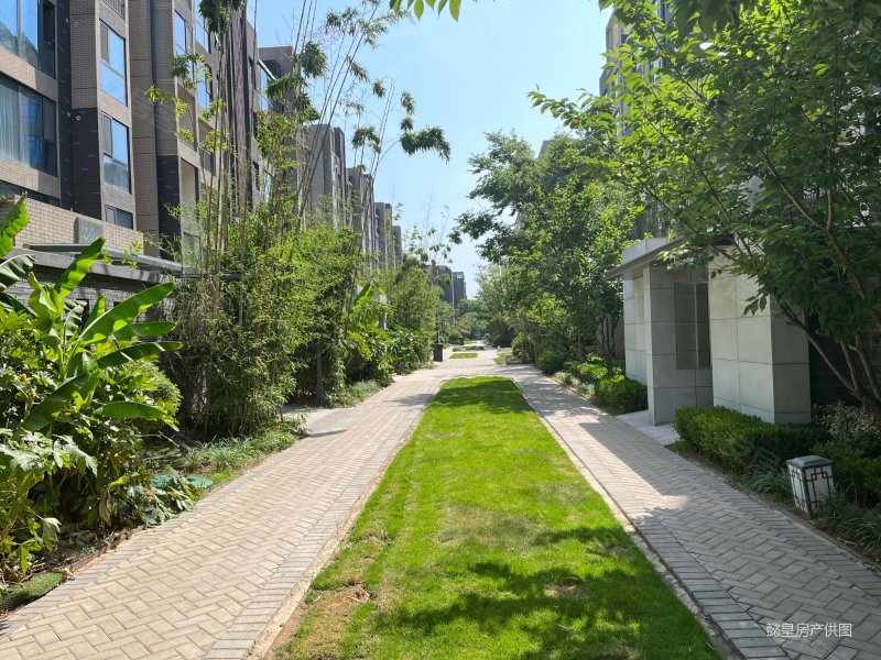 降价业主急售建业桂园洋房毛坯三室还能大砍价性价比高