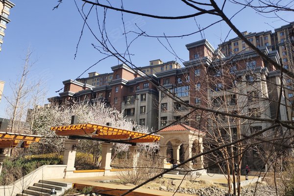 国内怎么看国外的哔哩哔哩 600x400c.jpg?t=1