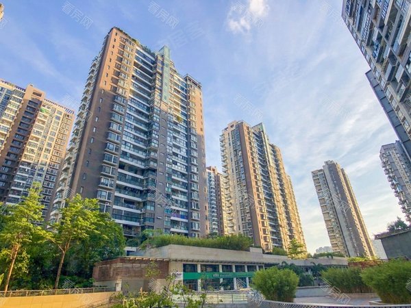 深圳宝安宝安中心区第5大道高发西岸花园宝中 新上 实拍实发  豪装