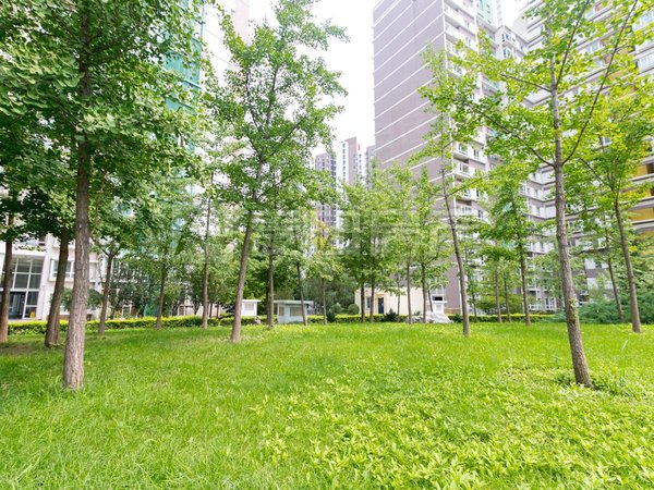 【多图】宝星国际,望京租房,望京东 宝星国际 3室2厅2卫 配套齐全 精