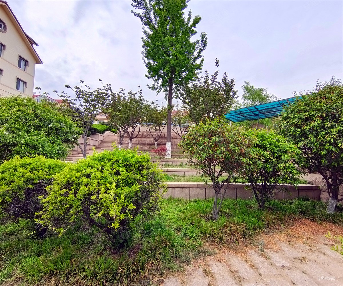 矿泉花园3室2厅1卫127㎡南北780万