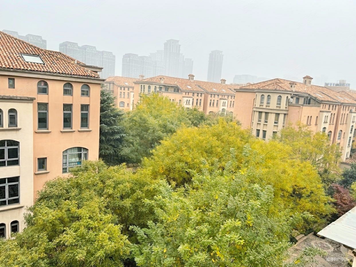 普罗旺世温莎城堡业主挥泪甩卖顶楼复试