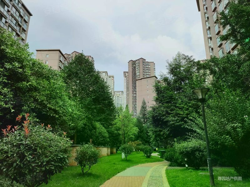 北京路俊发城旁丽水雅苑全新精装小高层板房保养好直接拎包入住