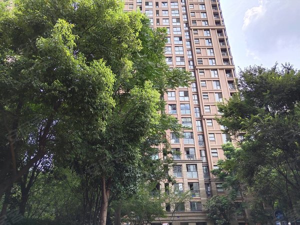 绍兴柯桥柯桥世纪星城世纪星诚4室2厅2卫年租6万6带车位出租房源真实