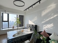 合肥政务荷叶地天鹅湖 万象城 安粮唯品会 融创信达政务壹号 精装一室 定制出租房源真实图片