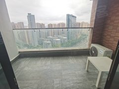成都高新区南延线套四双卫三阳台!月付无中介!员工宿舍!Ai创新中心!华府大道出租房源真实图片