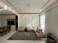 沈阳浑南全运路浑南区 别墅出租 共五层 带车库 网红轻奢风 带地下室出租房源真实图片