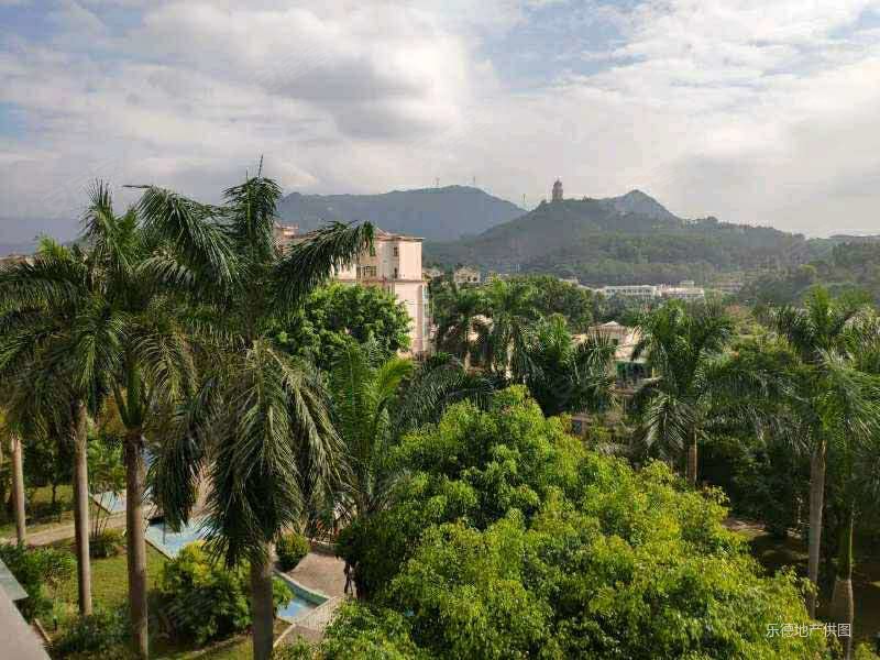 送95平大天台犟价急售御景花园朝南大3房诚心出售