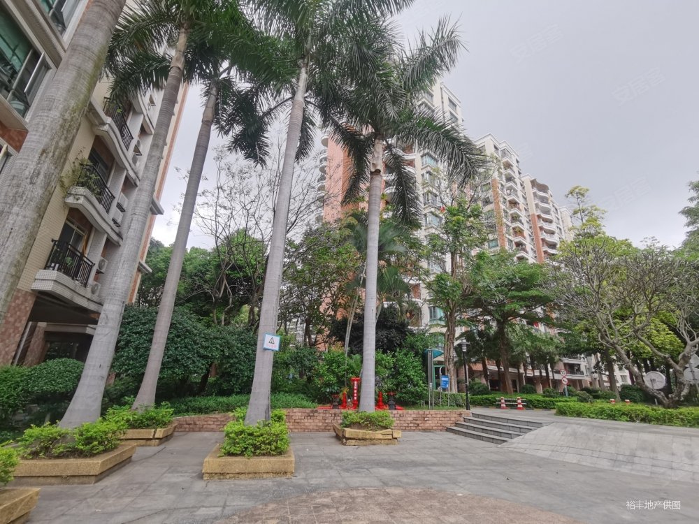 跟老总做邻居光大景湖花园别墅区电梯洋房南向居家4房