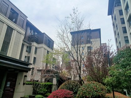 葛洲坝中国府,长沙路2233号 - 合肥葛洲坝中国府二手房,租房,房价