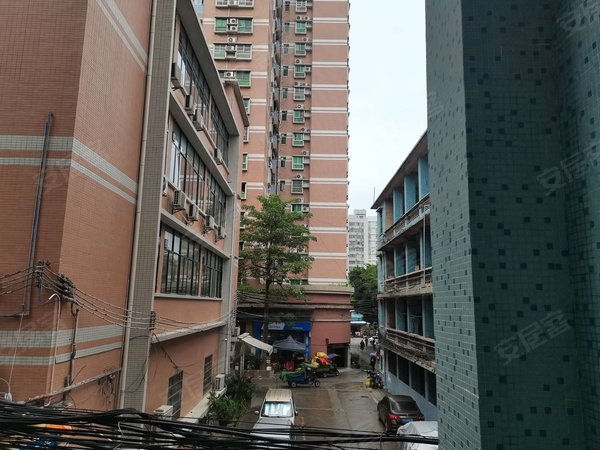 广州荔湾花地湾广船鹤园小区房源采光好,南北通透,业主诚意出出租房源