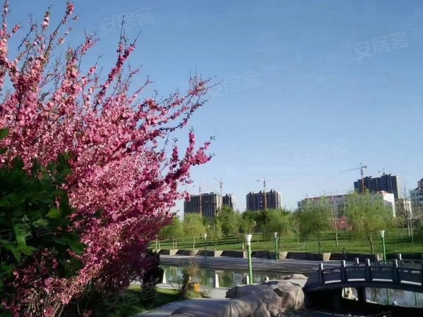 昌吉昌吉市华洋广场吉祥花园(长宁南路)吉祥花园 3室2厅1卫 精装 配套