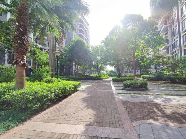 【多图】阳光新城蓝波湾,大沙田租房,好房出租!蓝波湾精装两房!配齐!