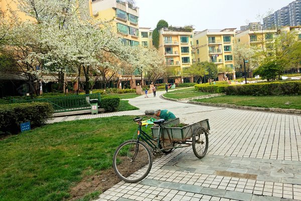 成都银都花园图片