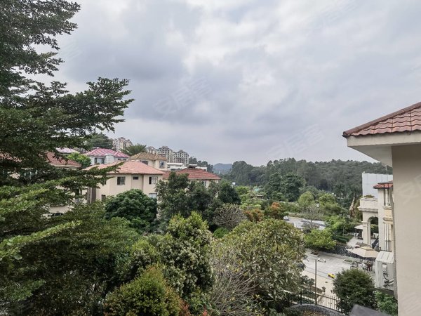 广州白云南湖南湖山庄南湖独栋别墅 300方大花园带车库 九房六阳台