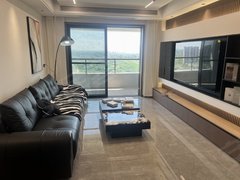 泸州龙马潭西南商贸城真实视频保真蓝光长岛生活条件方便，小区环境优美出租房源真实图片