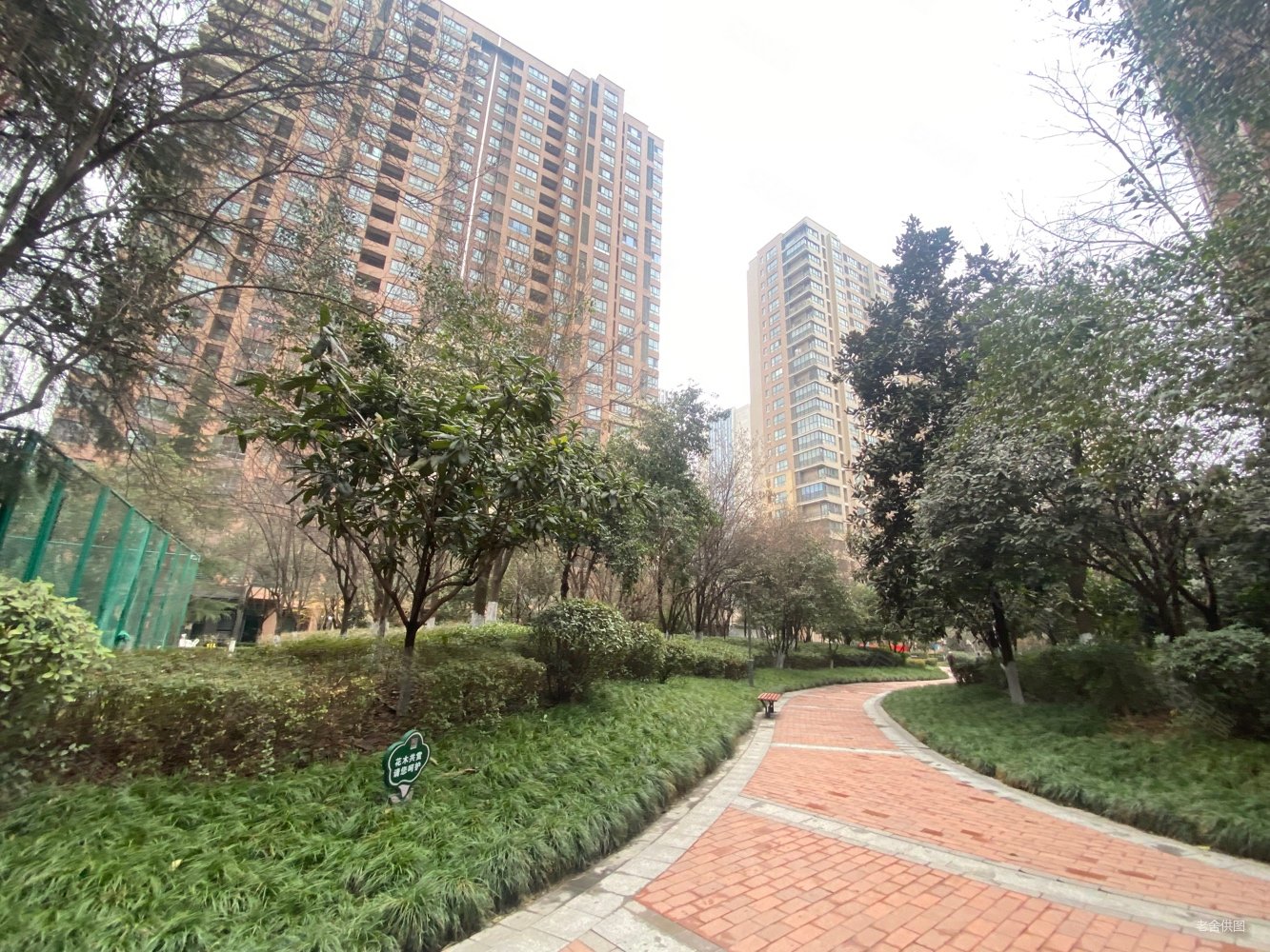 天地源枫林意树