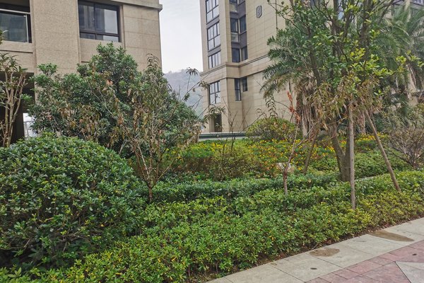 台州小区 温岭小区 城东小区 半岛名苑