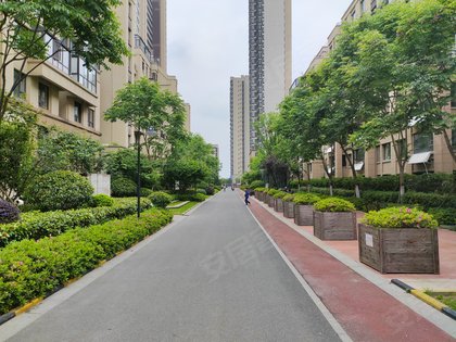 保利罗兰春天,包公大道580号 - 合肥保利罗兰春天二手房,租房,房价