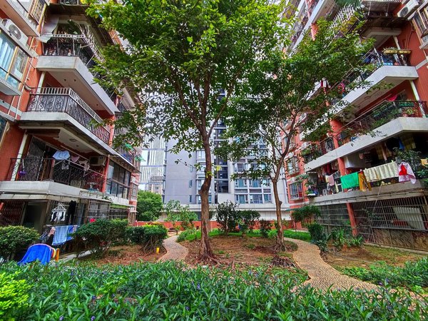 广州天河员村金兴花园现场真图 天河公园地铁走两步 精装修二房干净