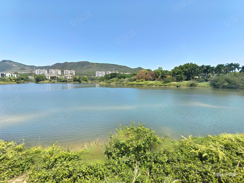 金碧御水山庄 电梯房 满五    高楼层  小三居 63万!