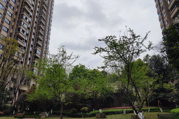 香港置地嘉景湾别墅