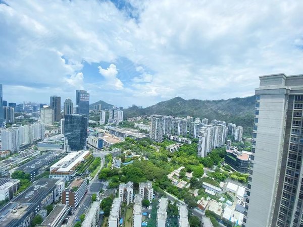 深圳南山蛇口水湾1979(商住楼)蛇口水湾1979云端公寓 高楼层精装两房