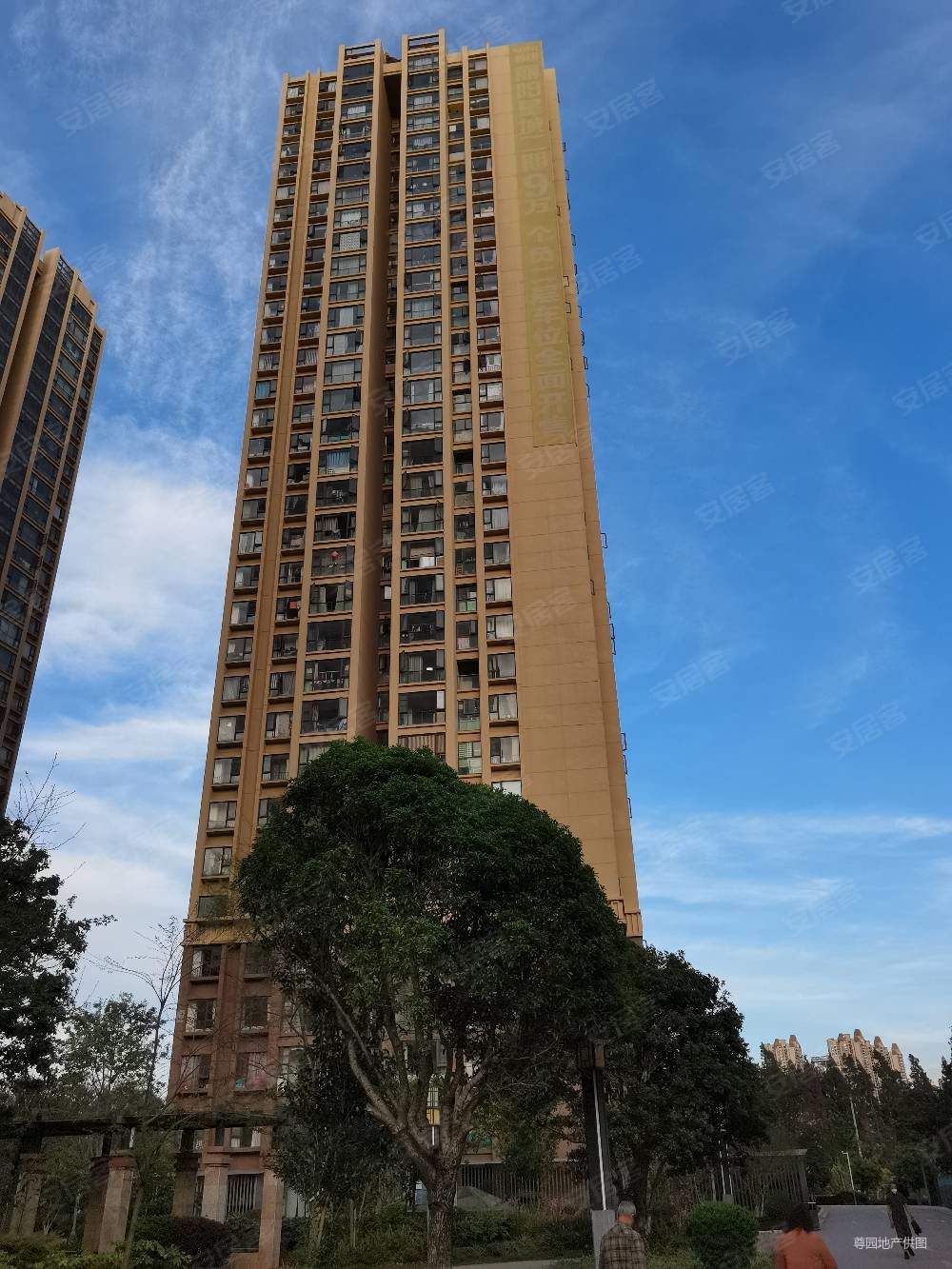 丽阳星城2期1室1厅70年产权电梯房41平楼层好