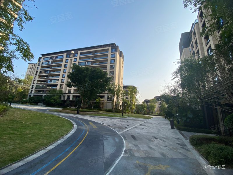 全年恒温26度重庆 生态版块,玻璃幕墙高端大气,望江府云景里二手房