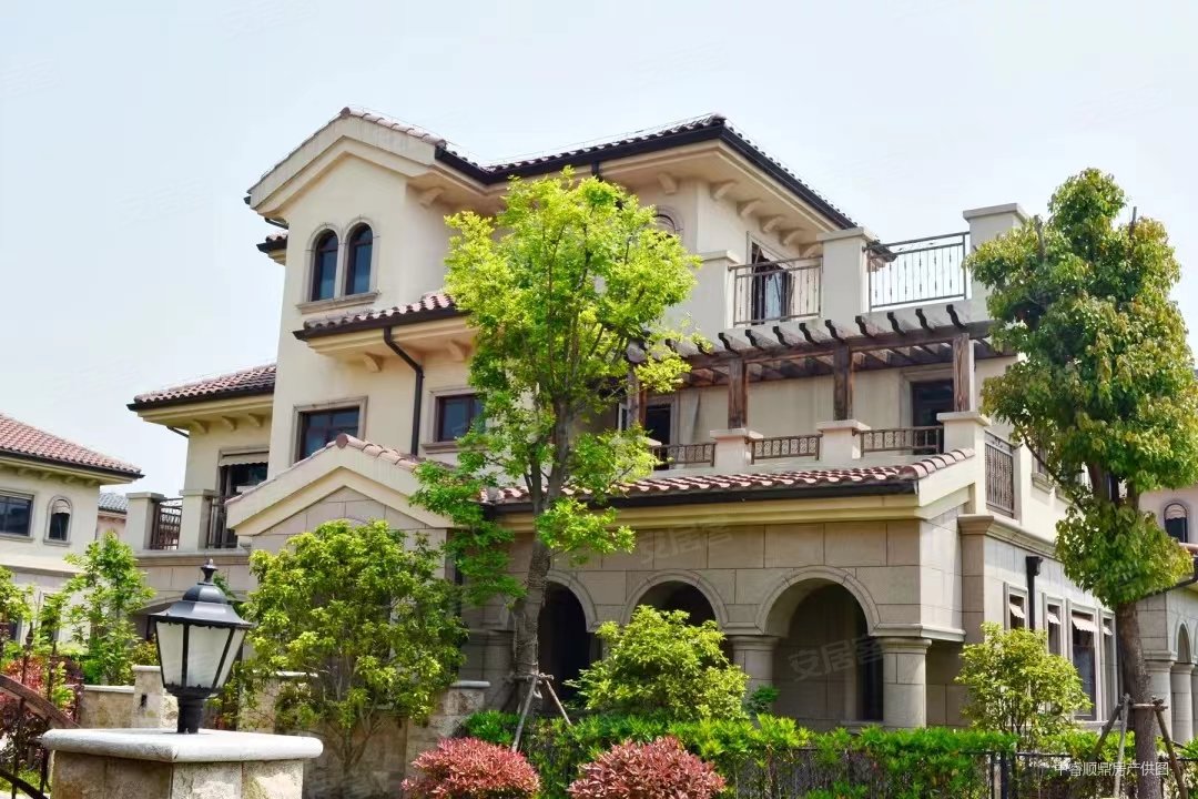 南主城玄武大道紫金山脚下美林墅大独栋花园1000平