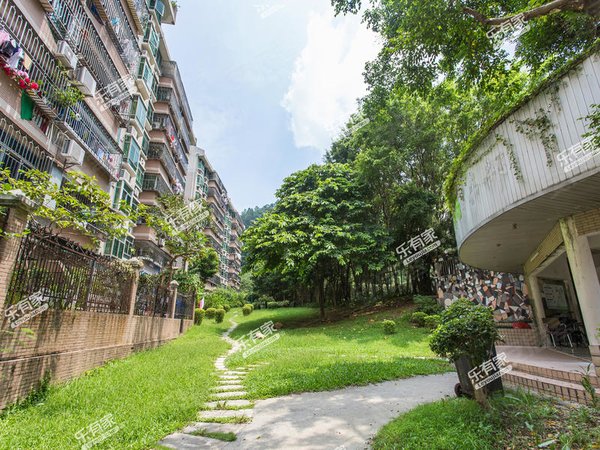 深圳罗湖布心绿景山庄新上,绿景山庄精装两房,视野好,光线充足,居家