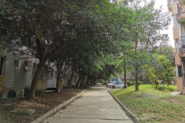 成都小区 温江小区 国色天香小区 大庆蜀苑 大庆蜀苑怎么样