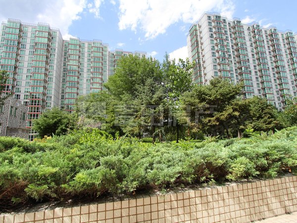 北京海淀北洼路世纪新景园初次出租 有钥匙 随时起租 家具齐全 南北