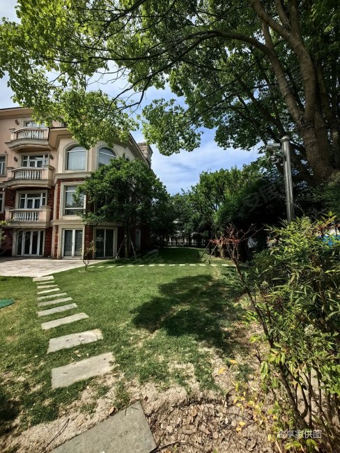 绿洲千岛花园高尔夫别墅位置好精装修  8室3厅 大花园