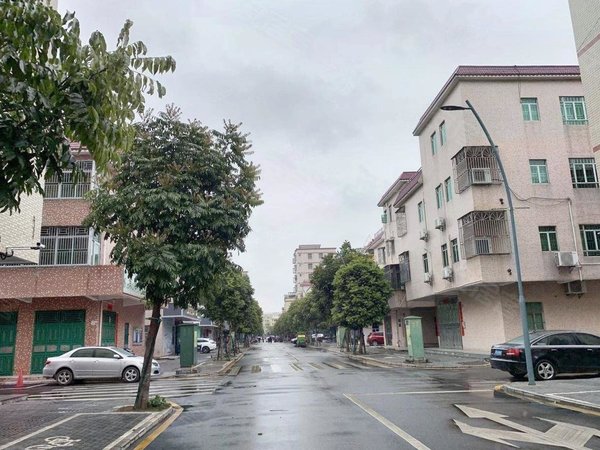 深圳龙岗坪地坪地街道河背村(坪地中学对面)精装修出租 全齐家电 带