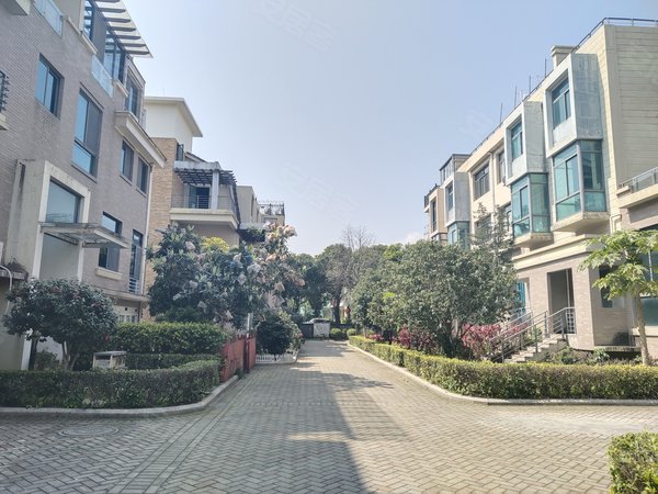 上街租房,大洋鹭洲联排 8000 可居家可办工,闽侯租房-福州58安居客