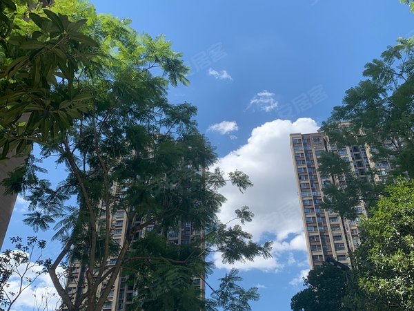 重庆江北寸滩港城印象(西区)带独立超大阳台,温馨舒适出租房源真实