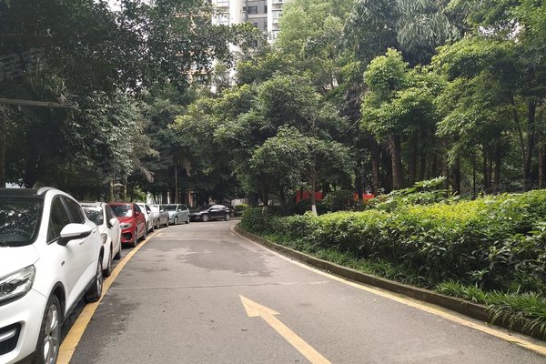 不足,北岸明珠怎么样,北岸明珠周边房产中介经纪人评价-重庆安居客