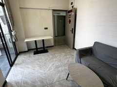 深圳龙岗坂田5号线10号线近五和地铁豪华装修采光通透阳台一房一厅拎包入住出租房源真实图片