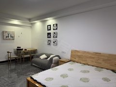 安吉昌硕锦银百货出租 1958附近 文驿小区 精装修单身公寓家电齐全拎包入住出租房源真实图片