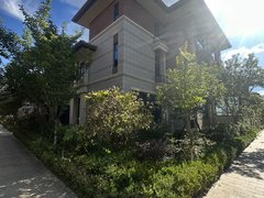 贵阳南明龙洞堡双龙碧桂园天麓一号精装拎包入住别墅，带150平花园，大露台出租房源真实图片